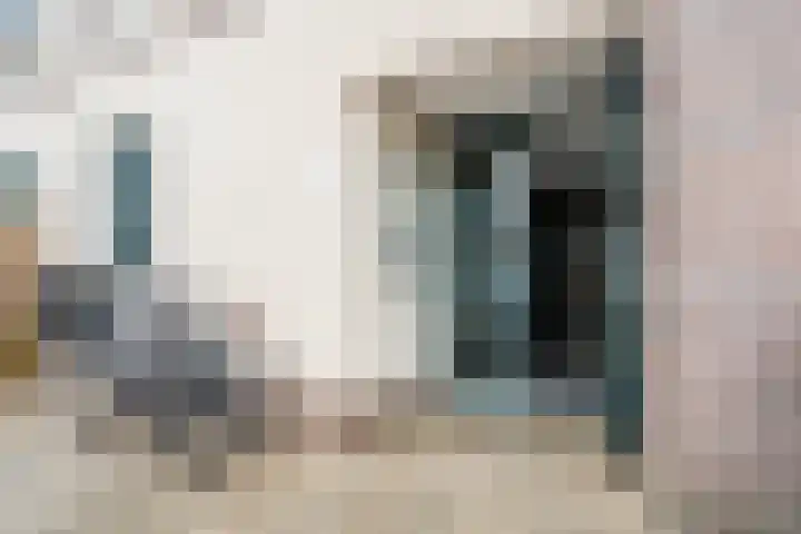 Keinsmerwiel 120 Heerhugowaard thumbnail 19