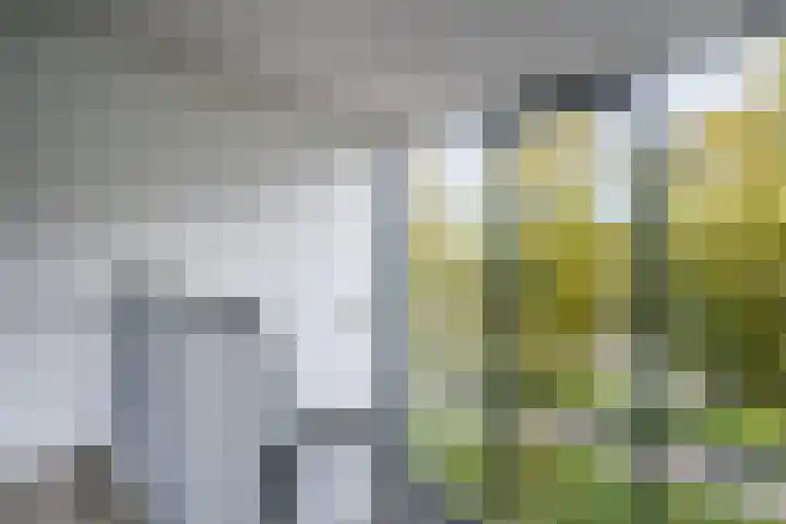 Keinsmerwiel 120 Heerhugowaard thumbnail 23