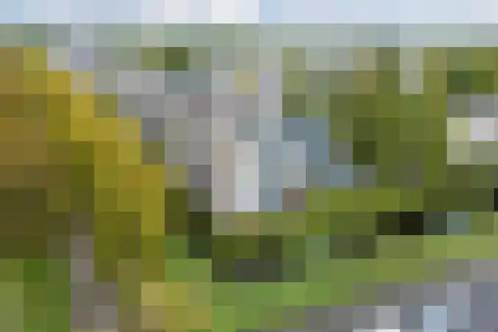 Keinsmerwiel 120 Heerhugowaard thumbnail 30