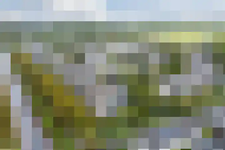 Keinsmerwiel 120 Heerhugowaard thumbnail 31