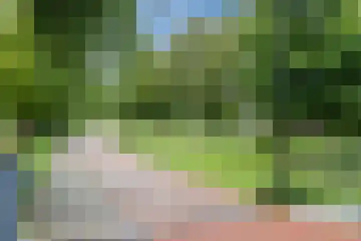 Keinsmerwiel 120 Heerhugowaard thumbnail 32