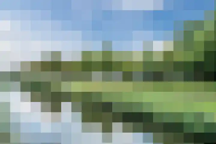 Keinsmerwiel 120 Heerhugowaard thumbnail 33