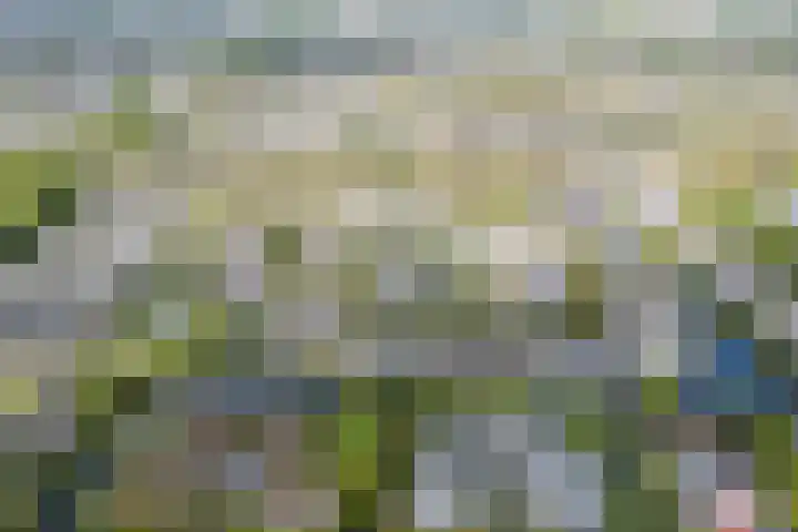 Keinsmerwiel 120 Heerhugowaard thumbnail 34