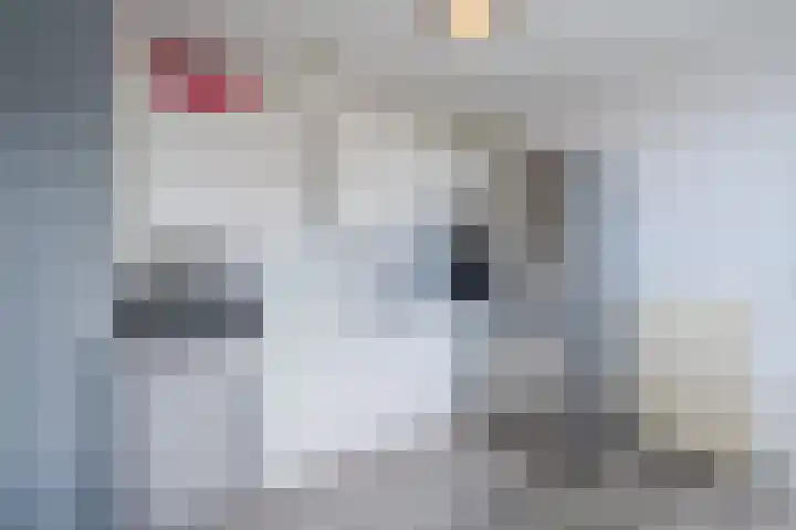 Keinsmerwiel 120 Heerhugowaard thumbnail 7
