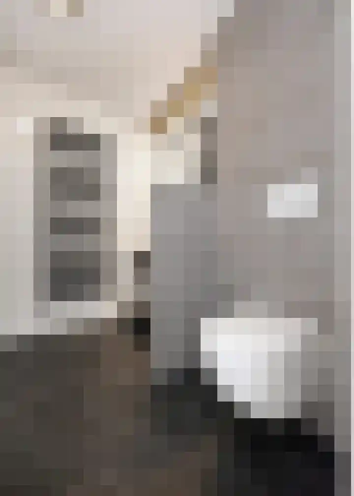 Keinsmerwiel 15 Heerhugowaard thumbnail 22