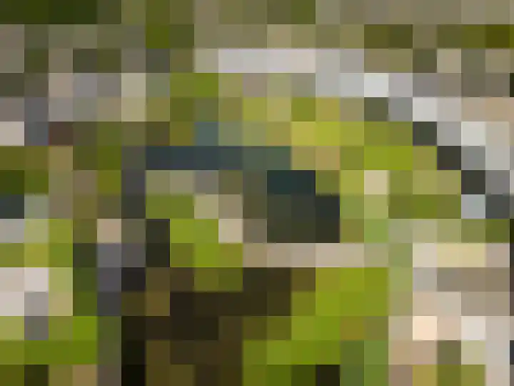 Keinsmerwiel 15 Heerhugowaard thumbnail 44