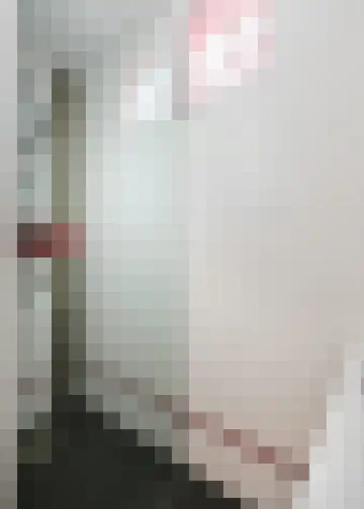 Keinsmerwiel 16 Heerhugowaard thumbnail 27