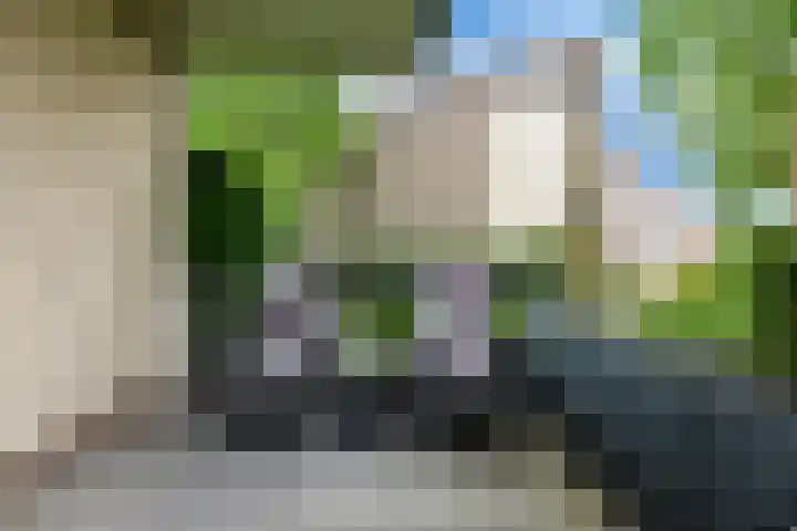 Keinsmerwiel 62 Heerhugowaard thumbnail 21