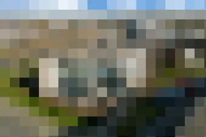 Keinsmerwiel 62 Heerhugowaard thumbnail 26