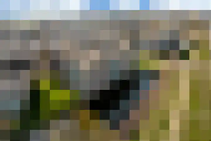 Keinsmerwiel 62 Heerhugowaard thumbnail 28