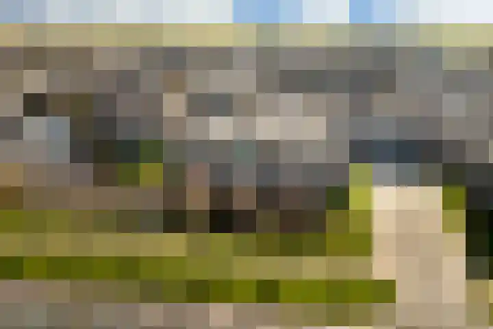 Keinsmerwiel 62 Heerhugowaard thumbnail 29
