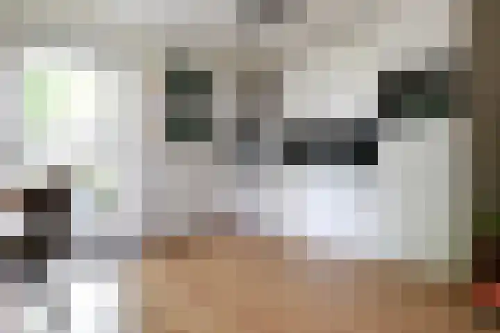Keinsmerwiel 62 Heerhugowaard thumbnail 5