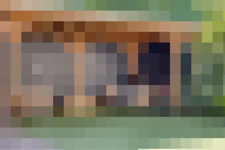 Keislagen 17 Breda thumbnail 33
