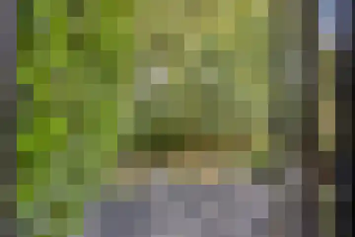 Keislagen 17 Breda thumbnail 34