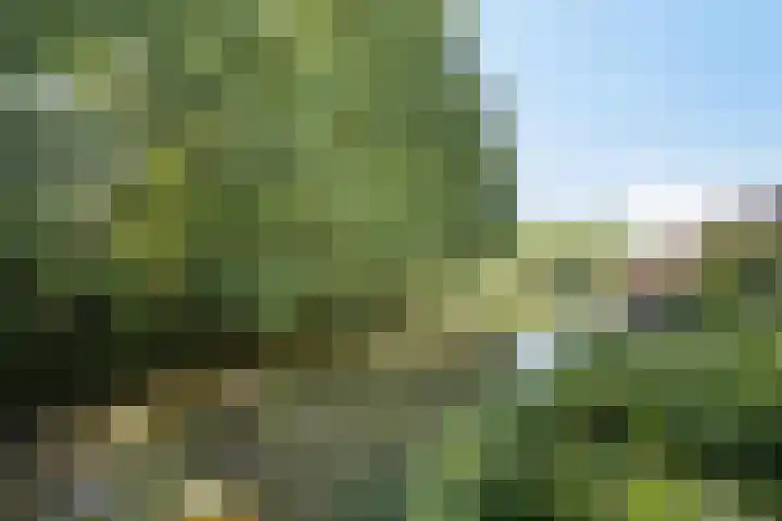 Keislagen 17 Breda thumbnail 36