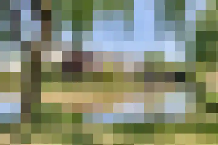 Keislagen 17 Breda thumbnail 37