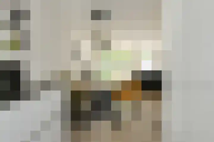 Keislagen 7 Breda thumbnail 14