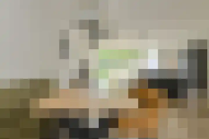 Keislagen 7 Breda thumbnail 15