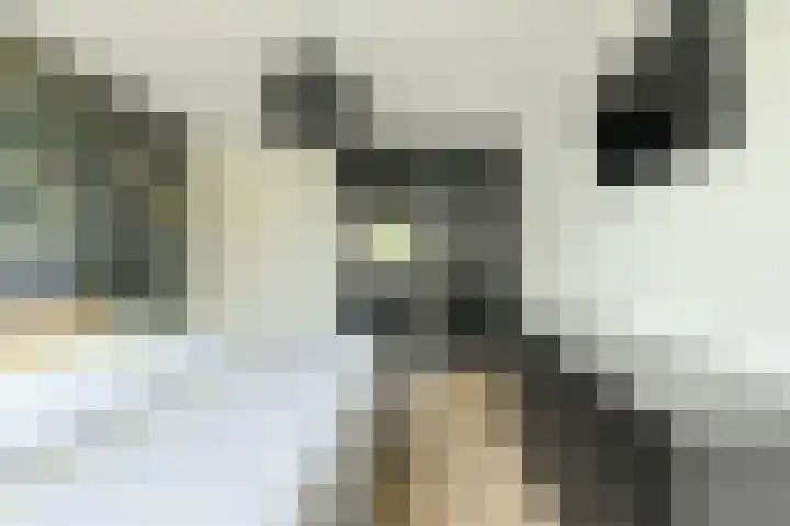Keislagen 7 Breda thumbnail 21
