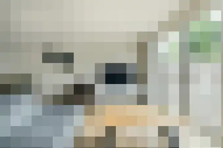 Keislagen 7 Breda thumbnail 6