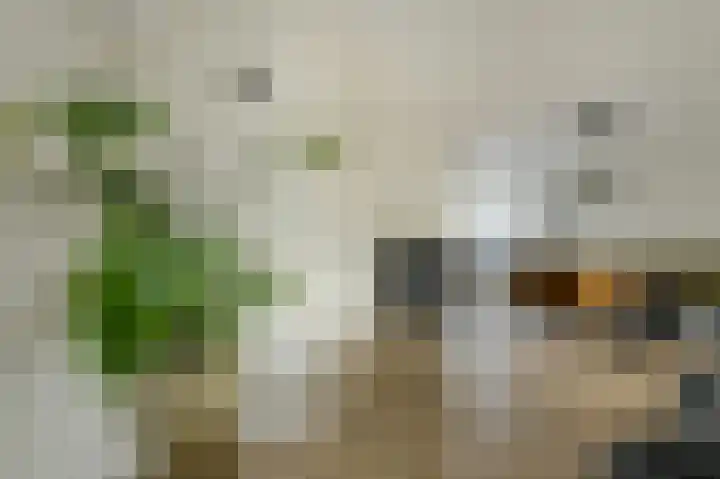 Keislagen 7 Breda thumbnail 8