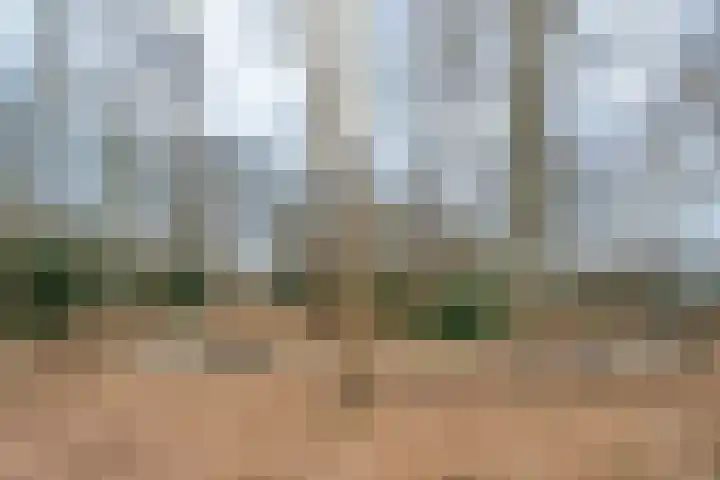 Keiweg 103 Oosterhout thumbnail 35