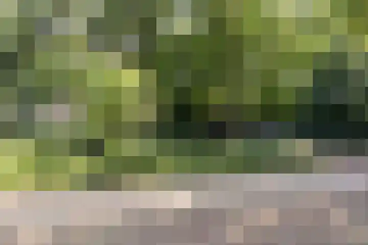 Keiweg 153 Oosterhout thumbnail 45