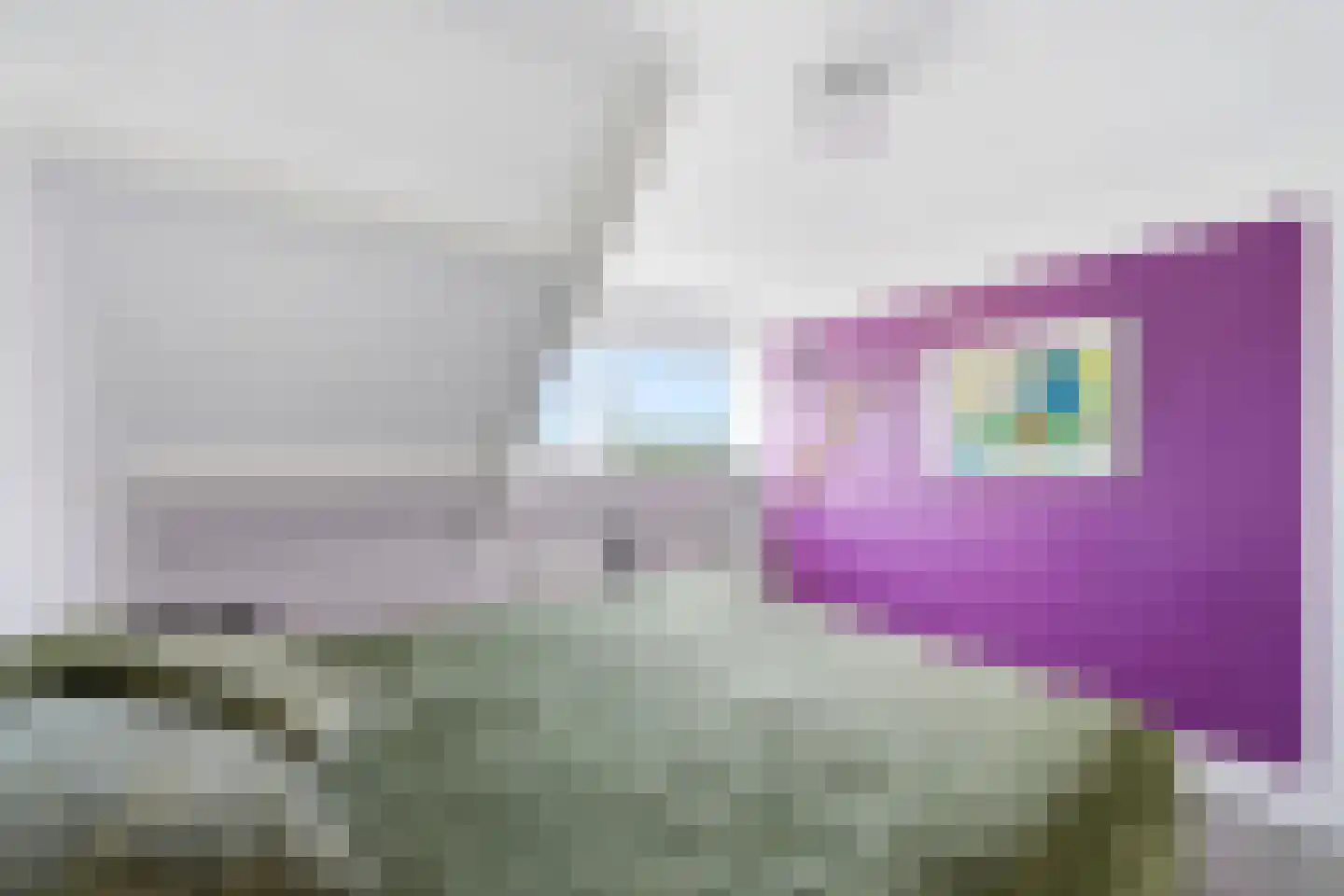 Keiweg 17 Koudekerke thumbnail 21