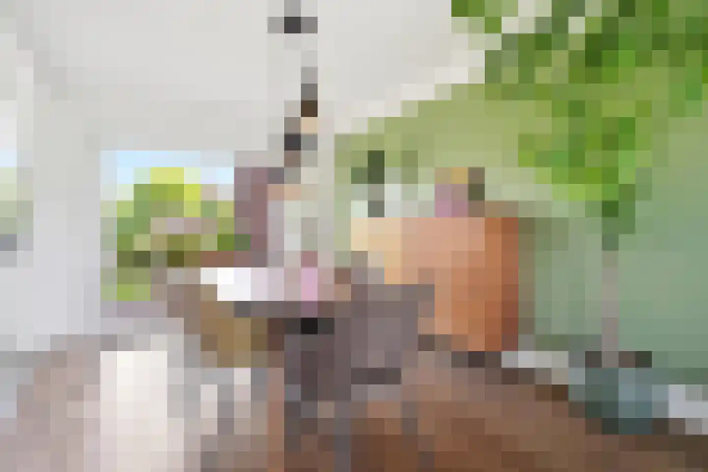 Keiweg 17 Koudekerke thumbnail 6