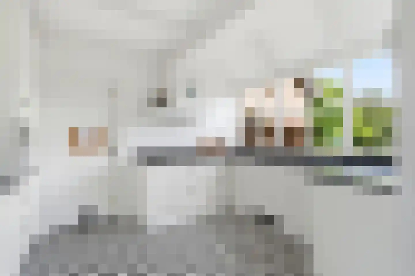 Keiweg 17 Koudekerke thumbnail 7