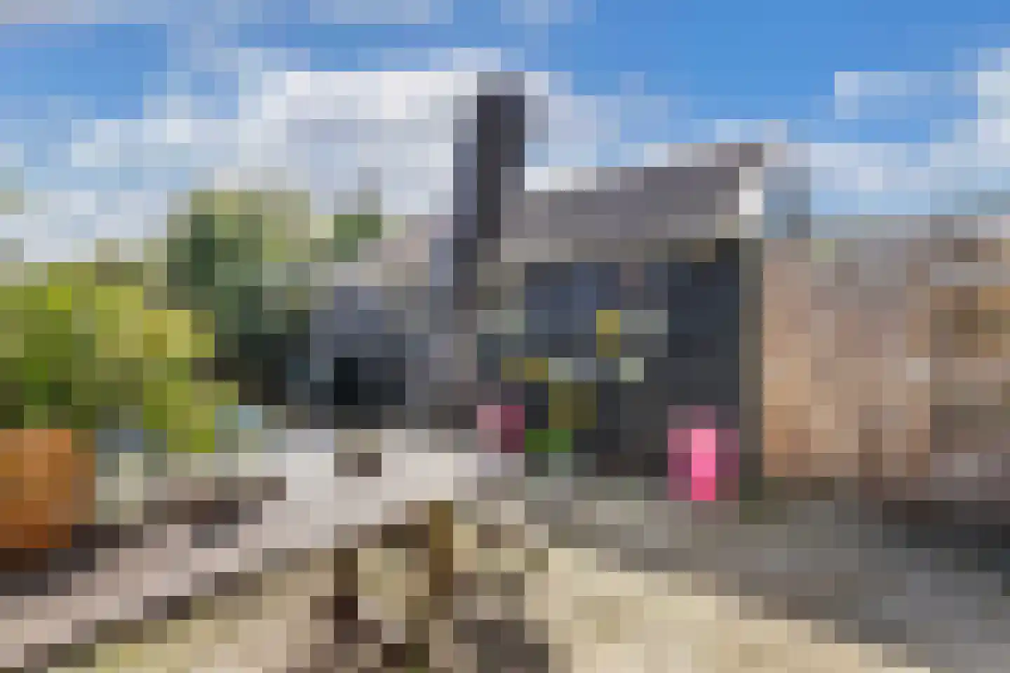 Keiweg 39 Wolvega thumbnail 31