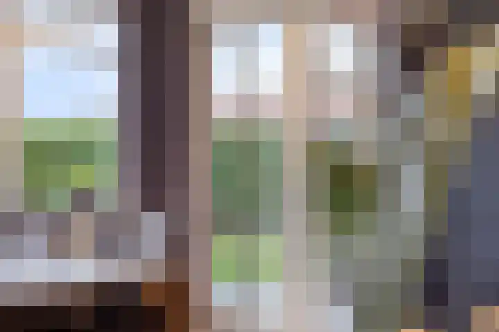 Keiweg 53 Wolvega thumbnail 10