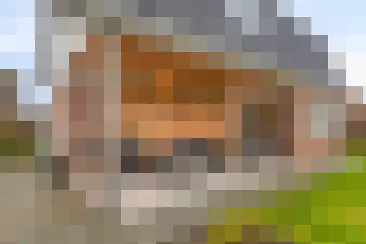 Keiweg 53 Wolvega thumbnail 30