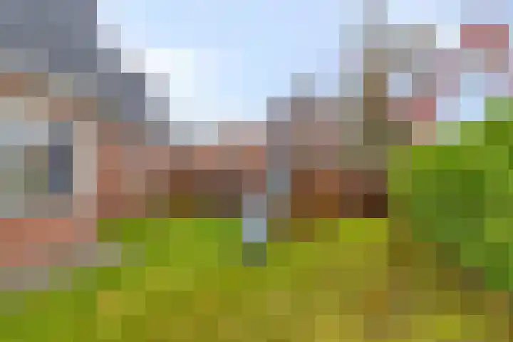 Keiweg 53 Wolvega thumbnail 32