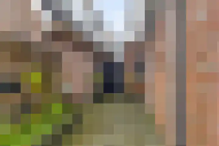 Keiweg 53 Wolvega thumbnail 35