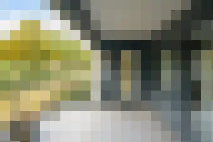 Keiweg 56 A Oosterhout thumbnail 14