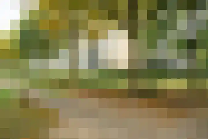 Keiweg 56 A Oosterhout thumbnail 27