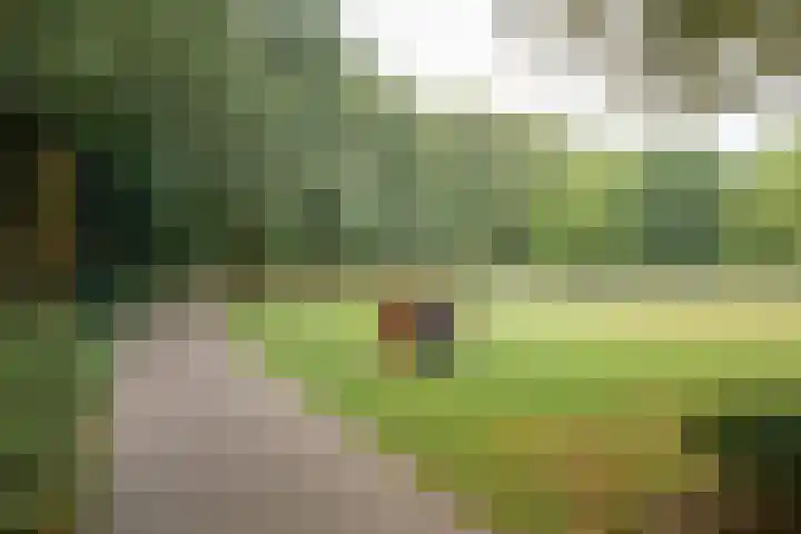 Keiweg 56 A Oosterhout thumbnail 28