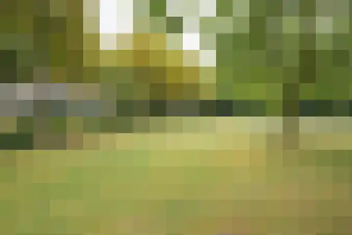 Keiweg 56 A Oosterhout thumbnail 29