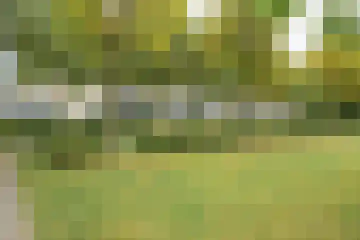 Keiweg 56 A Oosterhout thumbnail 30
