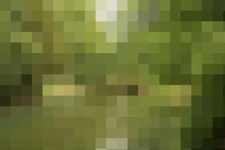 Keiweg 56 A Oosterhout thumbnail 31
