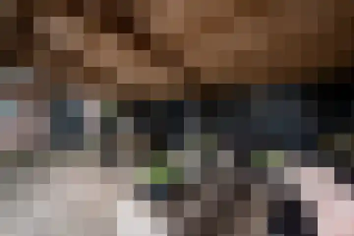Keiweg 8 Wolvega thumbnail 32