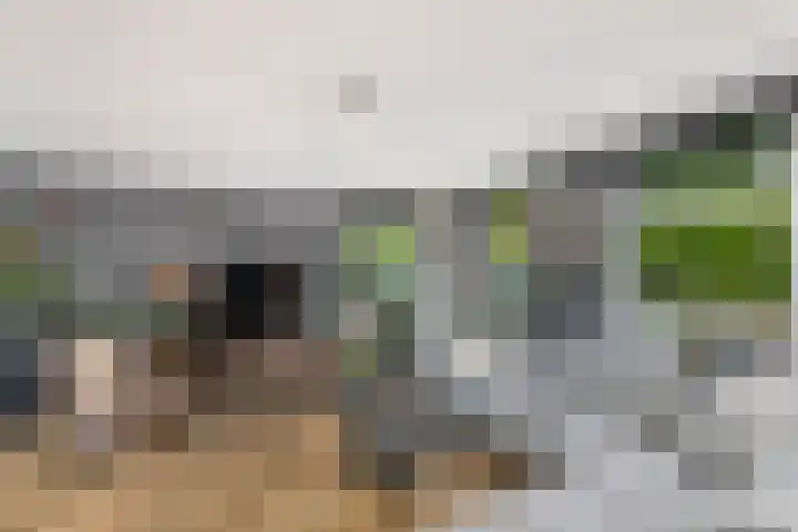 Keiweg 8 Wolvega thumbnail 4