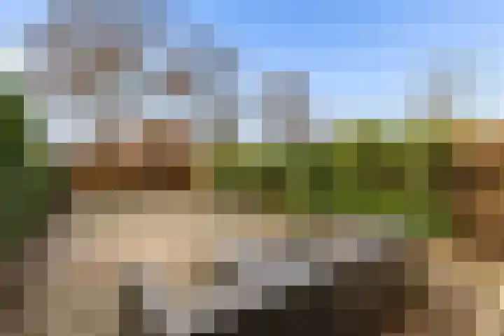 Keiwierde 137 Almere thumbnail 33