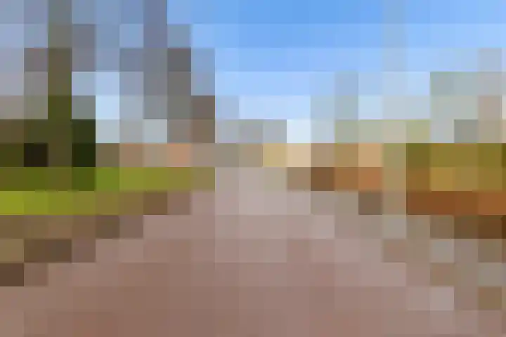 Keiwierde 137 Almere thumbnail 38