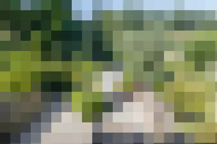 Keiwierde 151 Almere thumbnail 21