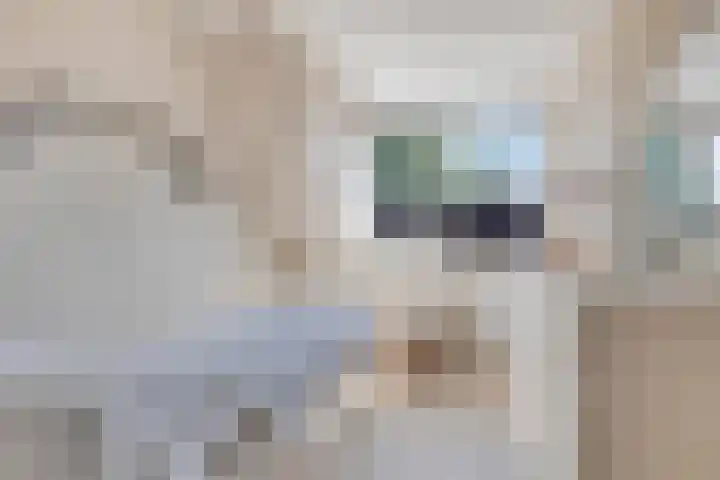 Keiwierde 151 Almere thumbnail 22