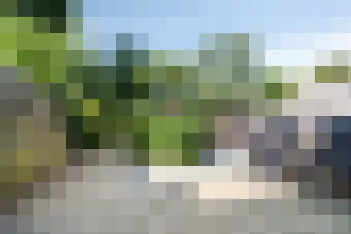 Keiwierde 151 Almere thumbnail 34