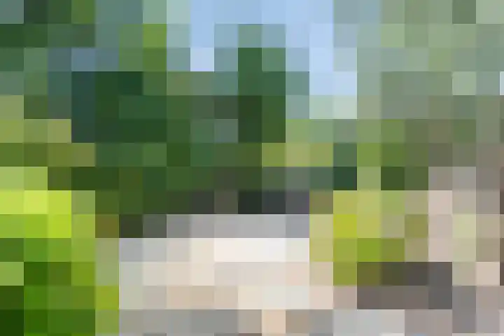 Keiwierde 151 Almere thumbnail 35