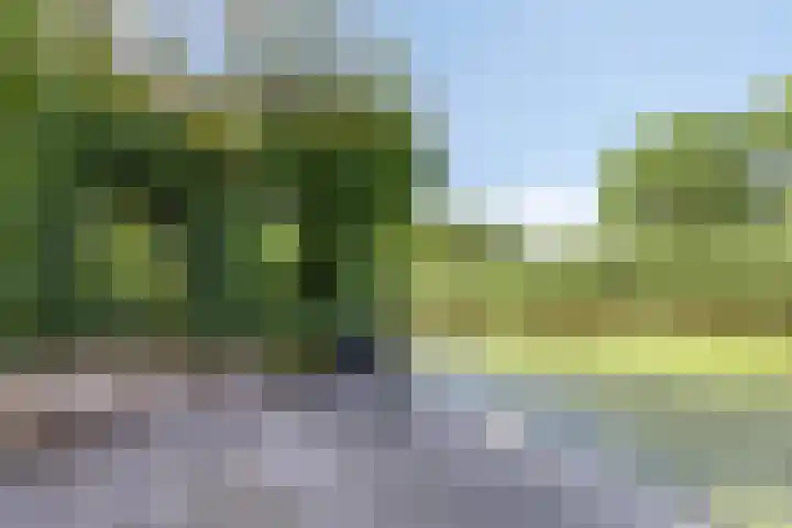Keiwierde 151 Almere thumbnail 38